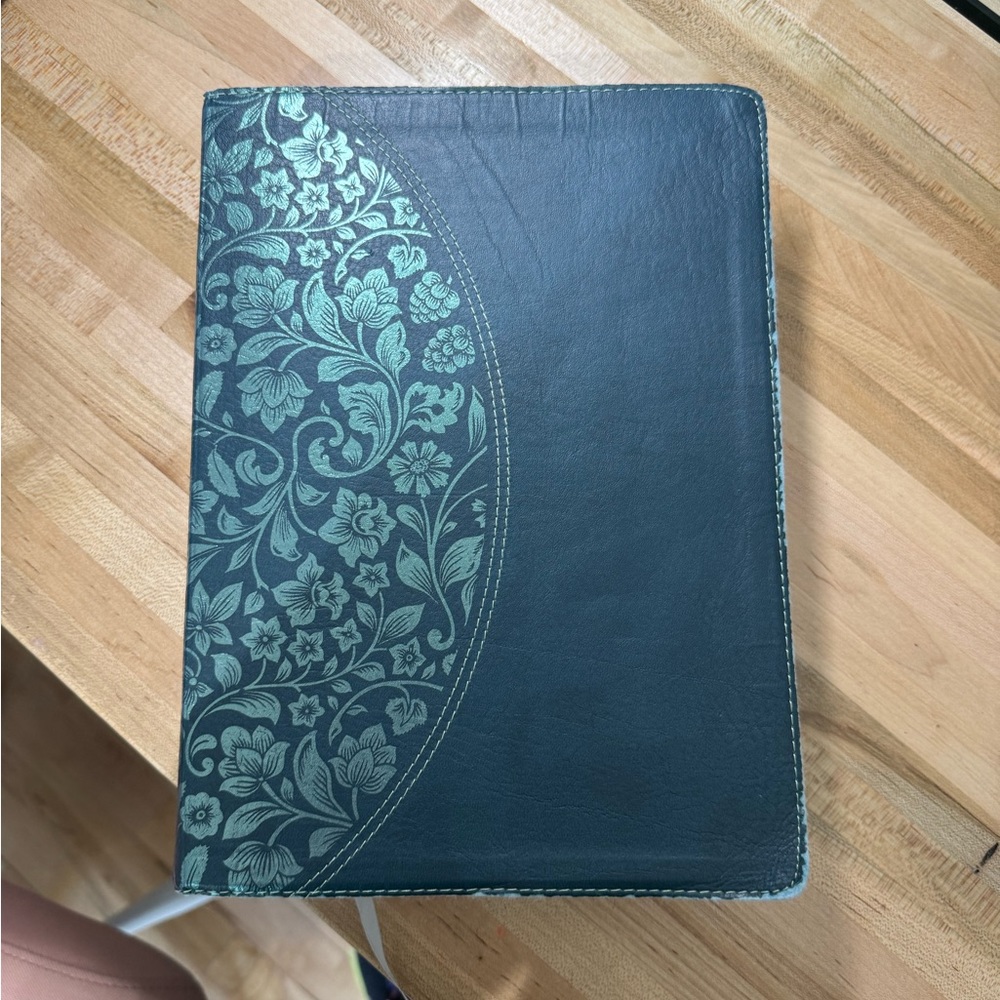 Holman KJV Study Bible Large Print Gently Used Full Color